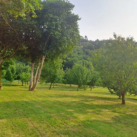 O Peteiro * Redondela